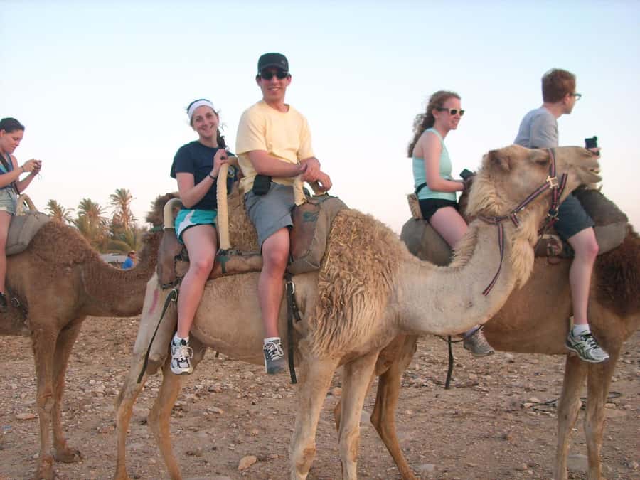From Agadir or Taghazout: Camel Ride Berber Tour Experience - Who should book this camel tour, and who might want a different style of trip