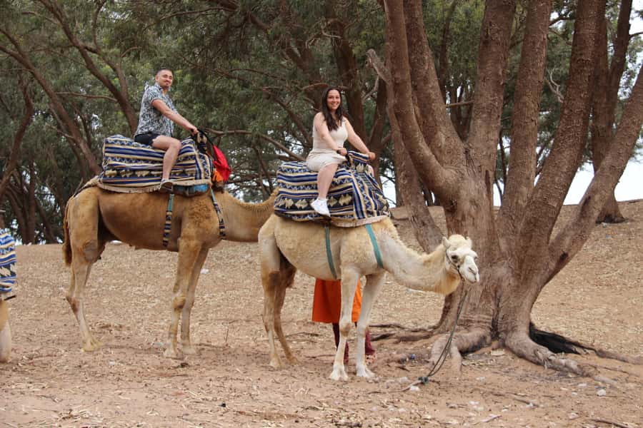 From Agadir or Taghazout: Camel Ride Berber Tour Experience - Camel ride along the Souss River, with flamingoes in their natural rhythm