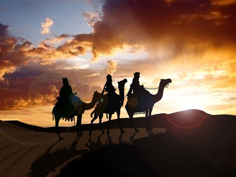 From Agadir or Taghazout: Camel Ride Berber Tour Experience - From Agadir or Taghazout: pickup that saves time and keeps things comfortable