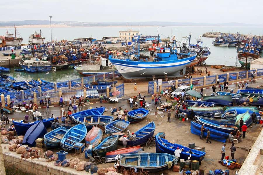 From Agadir or Taghazout : Essaouira Day Trip - Why Essaouira’s UNESCO Medina Works So Well in One Day