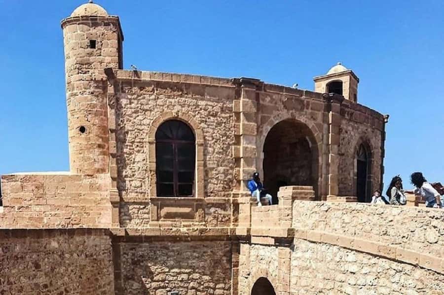 From Agadir or Taghazout : Essaouira Day Trip - Argan Tree Goats: The Stop You’ll Be Glad Is Included