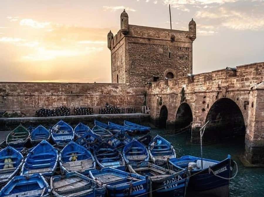 From Agadir or Taghazout : Essaouira Day Trip - Price and Value: What You Get for About $39