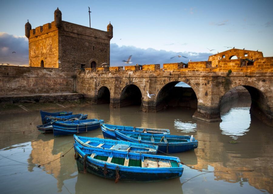 From Agadir or Taghazout: Essaouira Day Trip with Transfer - Should you book this Essaouira day trip from Agadir?
