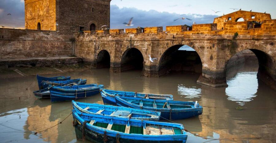 From Agadir or Taghazout: Essaouira Day Trip with Transfer - Bab El Marse Port, Sqala canons, and fishing boat moments