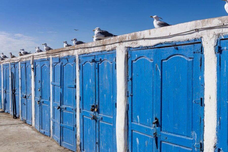From Agadir or Taghazout: Essaouira Day Trip with Transfer - UNESCO Media and the art of marquetry and cabinetmaking