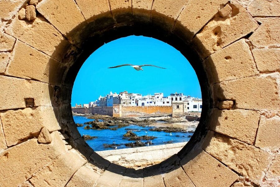 From Agadir or Taghazout: Essaouira Day Trip with Transfer - Argan oil at the Women’s Cooperative: what you’ll learn