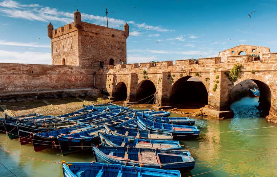 From Agadir or Taghazout : Essaouira Day Trip - From Agadir: The Van Ride That Defines Your Whole Day