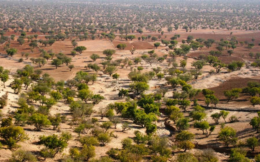 From Agadir: Sahara Desert Day Trip and Camel Ride - Massa Valley and the Berber house stop, where the day turns from scenery to culture