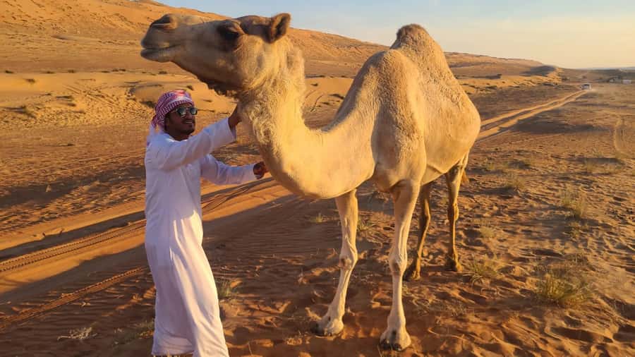 From Agadir: Sahara Desert Day Trip and Camel Ride - From pickup to Sidi-Bibi, the day starts before the real sightseeing