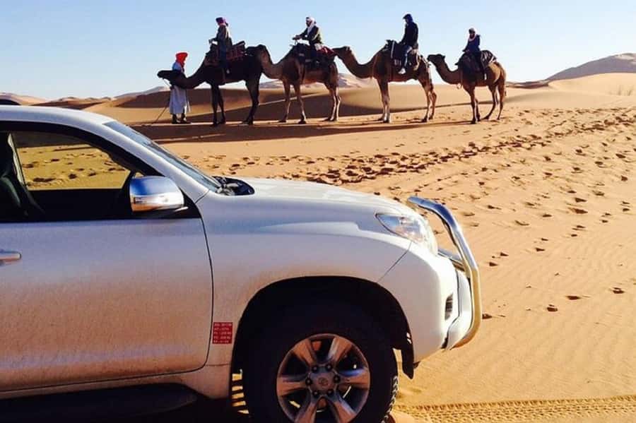 From Agadir: Souss-Massa National Park Tour with Lunch - The morning from Agadir: pickup, timing, and how the route feels