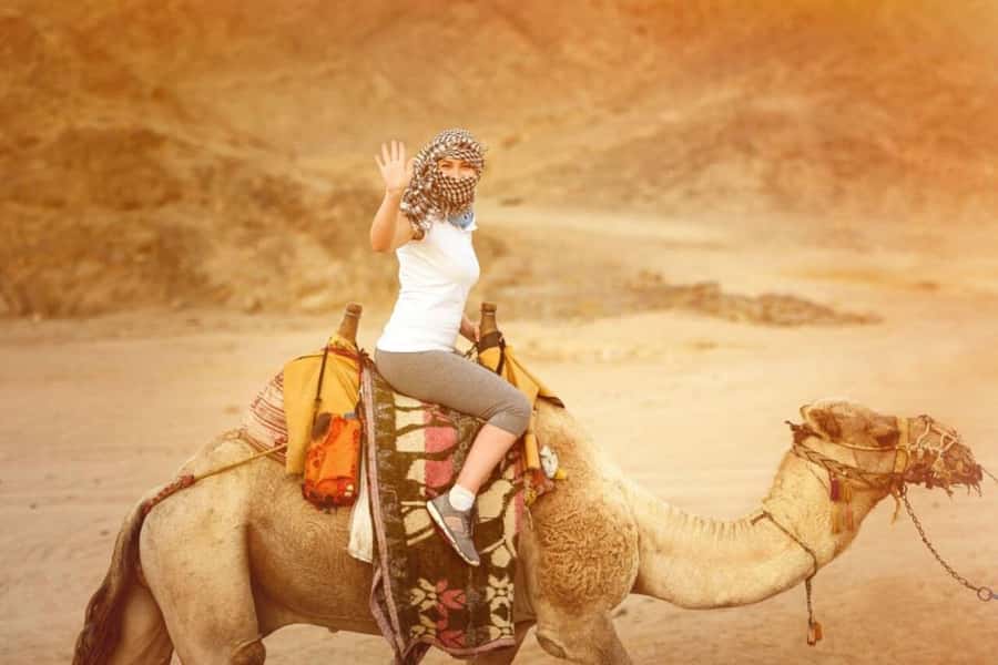From Agadir: Souss River Camel Ride - Camel Time Along the Souss River and Ocean at Sunset