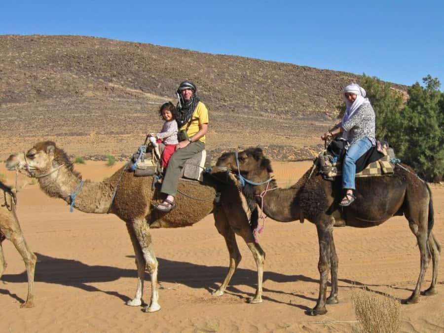 From Agadir: Souss River Camel Ride - The Return: Local Hospitality, Then Transfer Back to Agadir