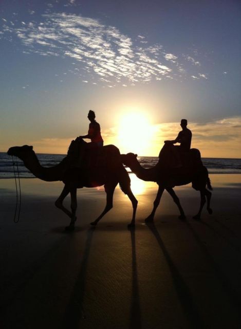 From Agadir/Taghazout: Buggy Safari Adventure & Moroccan Tea - Practical tips so you enjoy the ride more