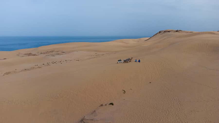 From Agadir/Taghazout: Sahara Sand Dunes with Transfer - Key Highlights You’ll Notice Fast