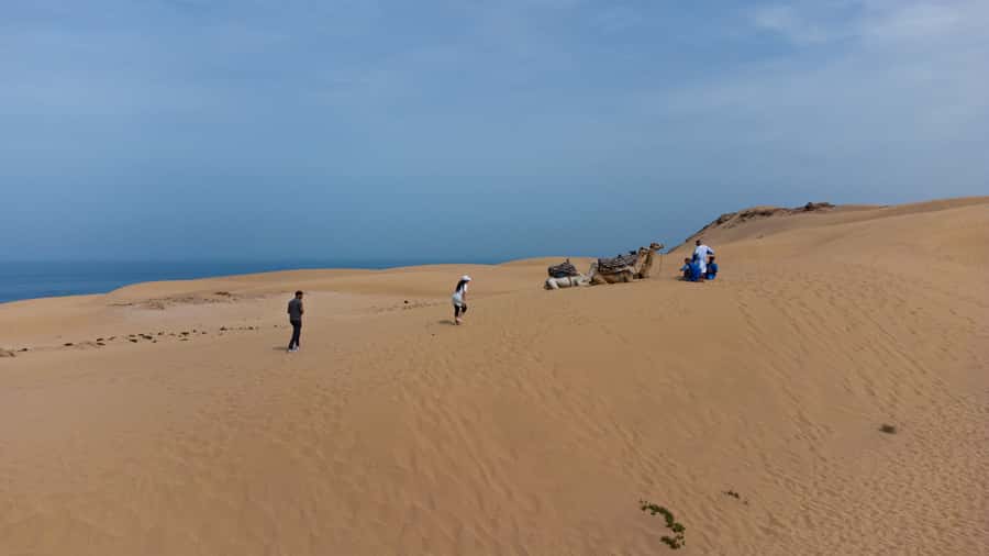 From Agadir/Taghazout: Sahara Sand Dunes with Transfer - Why These Sahara Dunes Feel Special From Agadir and Taghazout