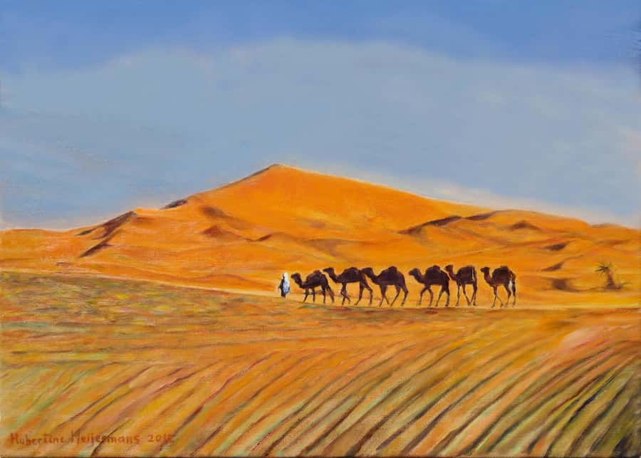 From Agadir/Taghazout: Sahara Sand Dunes with Transfer - What You Can Do at the Sun Dunes Area