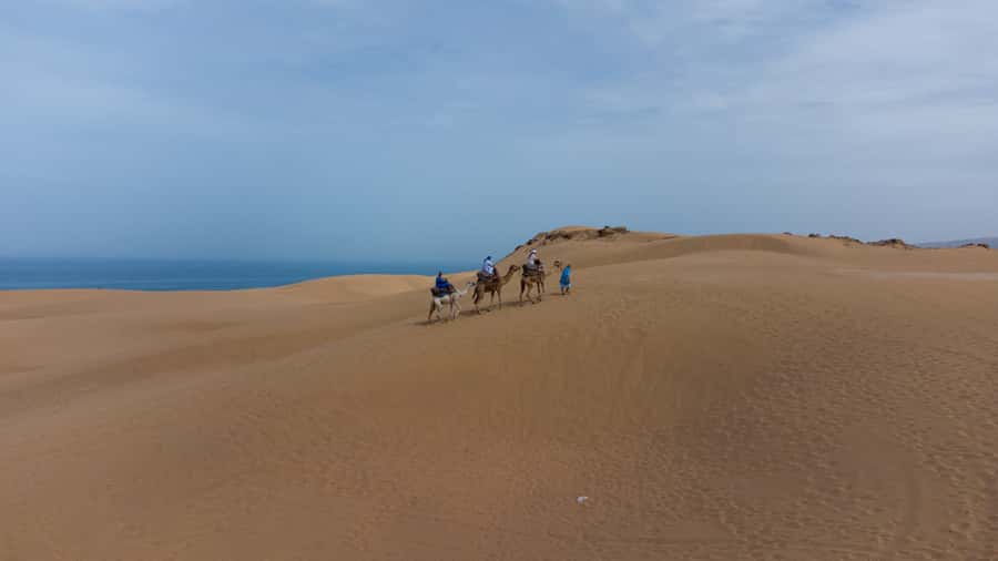 From Agadir/Taghazout: Sahara Sand Dunes with Transfer - The Driver-Guide Touch: Yassine, Ismael, and Ibrahim Make It Better