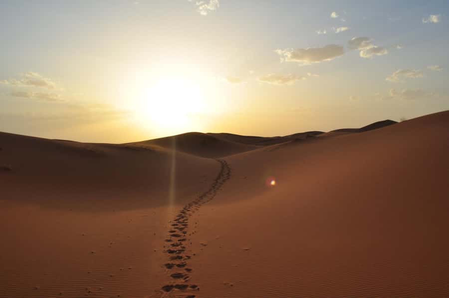 From Agadir/Taghazout: Sahara Sand Dunes with Transfer - Group Pace, Comfort, and Photo Stops