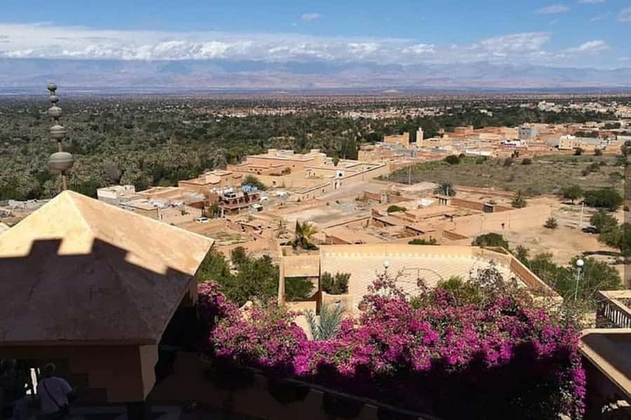 From Agadir: Taroudant and Tiout Day Tour with Lunch - Group size, timing, and what to pack for an 8-hour day
