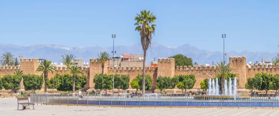 From Agadir: Taroudant & Tiout guided excursion - The Goat Tree Photo Stop: Quick, Silly, and Actually Memorable