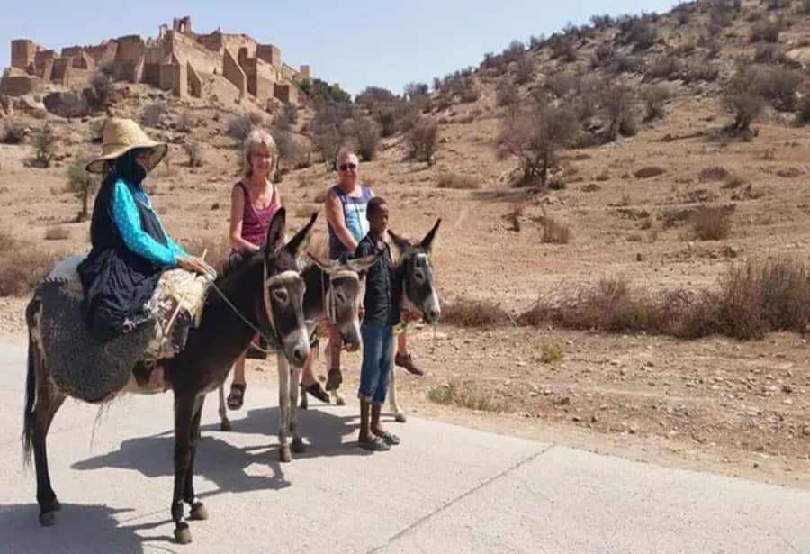 From Agadir: Taroudant & Tiout guided excursion - Tiout Oasis Break, Palm Groves, and a Berber Village Feel