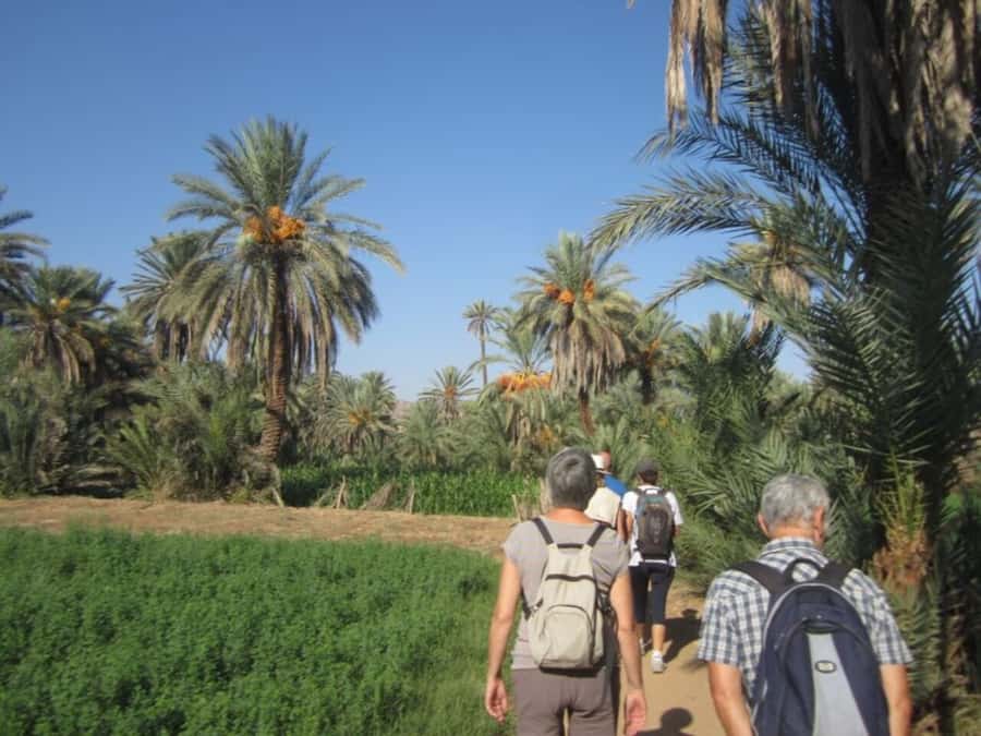 From Agadir: Taroudant & Tiout guided excursion - Lunch in Tiout: The Included Meal That Changes the Mood