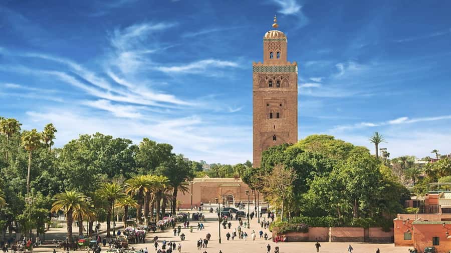 From Casablanca: Day Trip to Marrakech with Camel Ride - Palmeraie camel ride: what you get, how long it lasts, and what to watch for