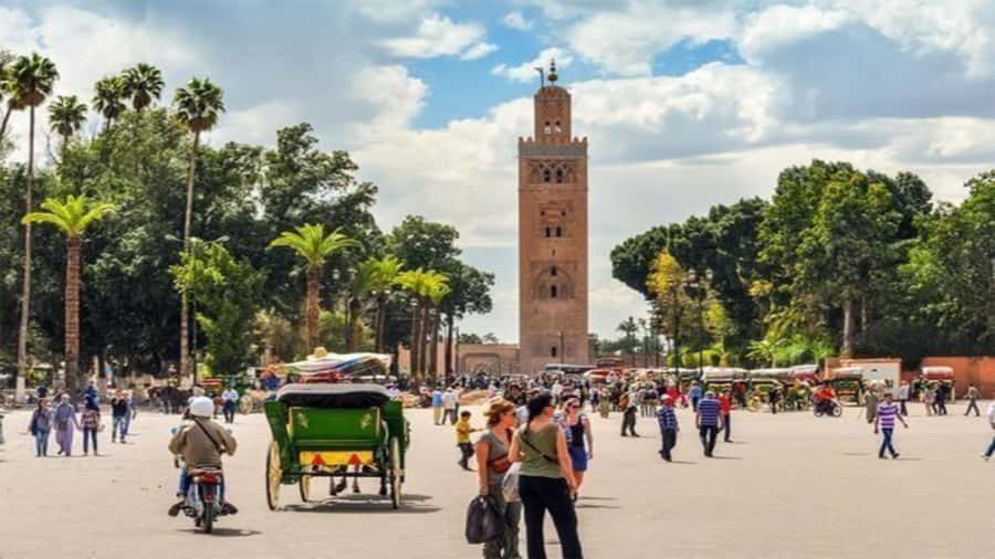 From Casablanca: Day Trip to Marrakech with Camel Ride - Majorelle Garden is a pass-by, so do not count on it
