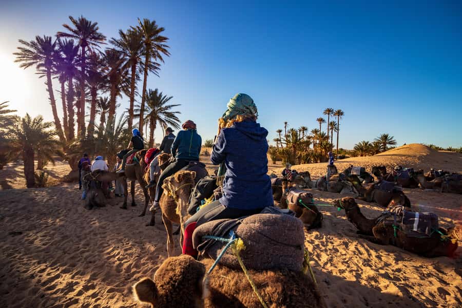 From Casablanca: Day Trip to Marrakech with Camel Ride - Koutoubia Minaret and Mosque: a landmark stop that sets your bearings