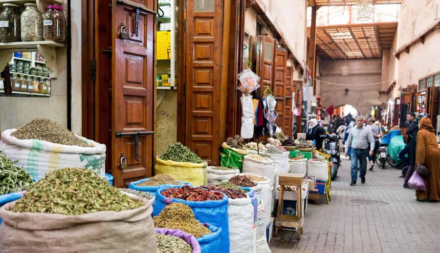 From Casablanca: Marrakech Guided Day Trip with Camel Ride - Mellah and the Old Medina lanes: the art of getting oriented fast