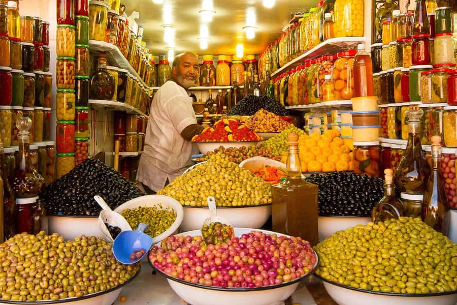 From Casablanca: Marrakech Guided Day Trip with Camel Ride - Secret Garden and Menara Gardens: two green pauses for your brain