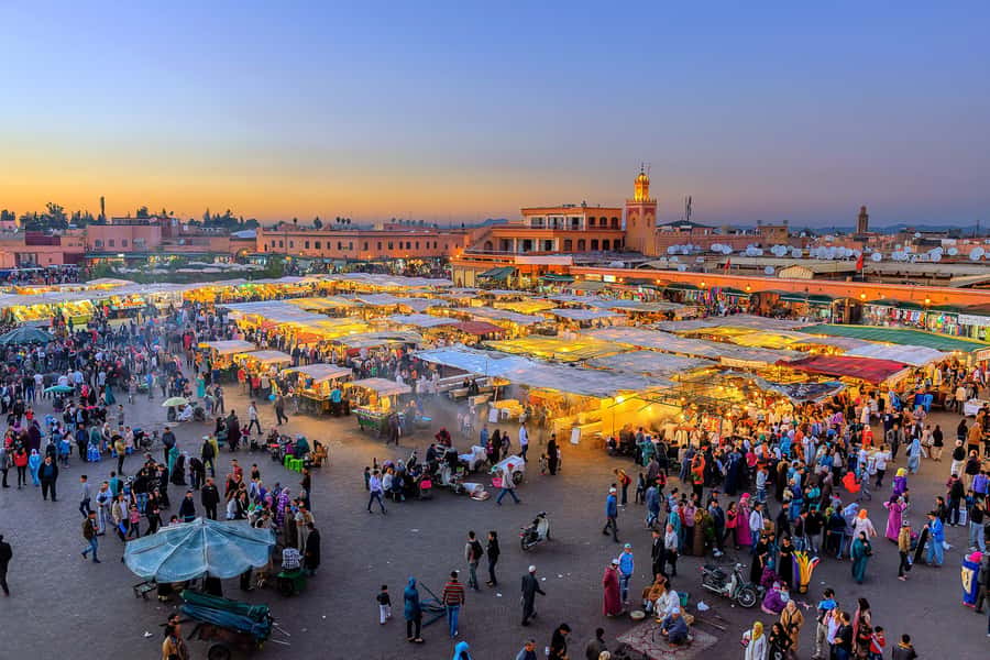 From Casablanca: Marrakech Guided Day Trip with Camel Ride - Price and logistics: is $114 good value for this packed day?
