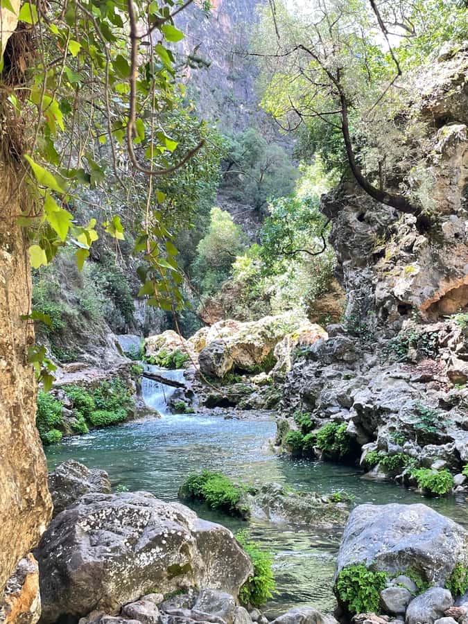 From Chefchaouen: Full-Day Trip to Akchour Waterfalls - God’s Bridge: a scenic stop you’ll likely remember longer
