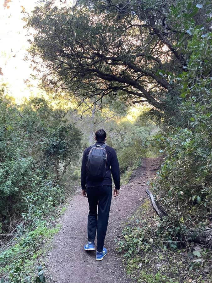 From Chefchaouen: Full-Day Trip to Akchour Waterfalls - Timing and stamina: how to judge if the 6 hours fits you