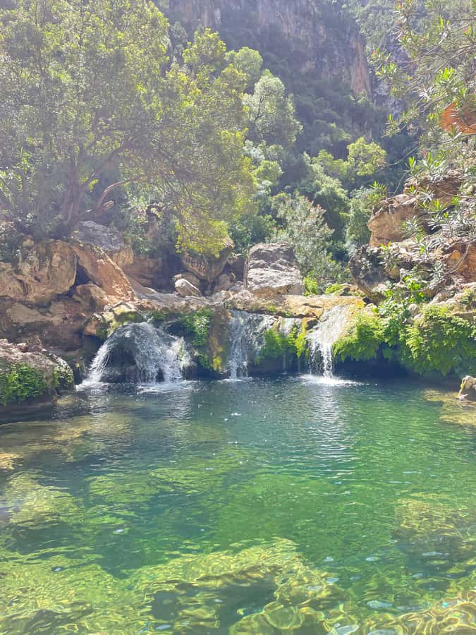 From Chefchaouen: Full-Day Trip to Akchour Waterfalls - What to bring (and what not to forget) for comfortable waterfalls