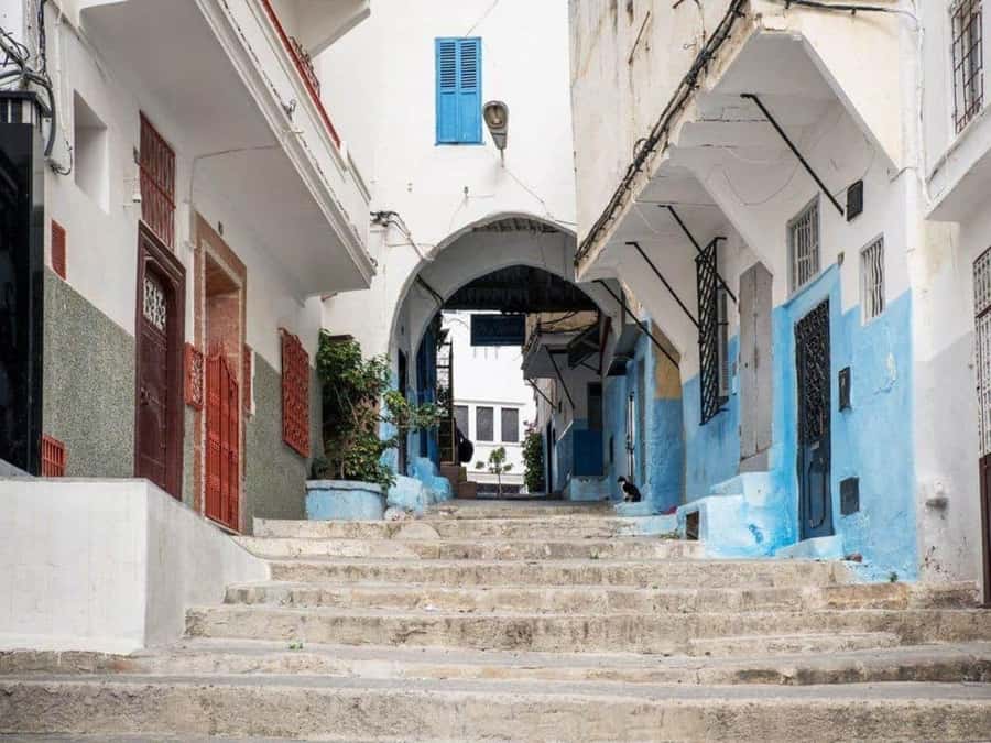 From Costa del Sol: Discover Tangier on a Guided Day Trip - Who this Tangier trip fits best