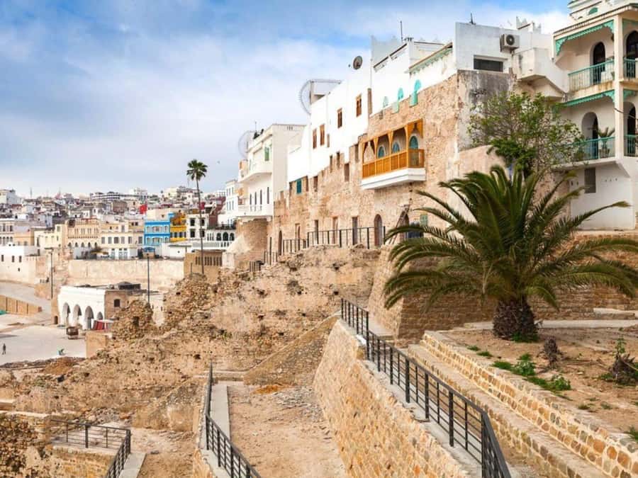 From Costa del Sol: Discover Tangier on a Guided Day Trip - Souk, a typical bazaar, and the Berber pharmacy add-ons