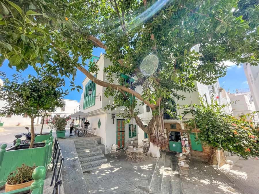 From Costa del Sol: Discover Tangier on a Guided Day Trip - Timing and logistics: when the long day works, and when it annoys you