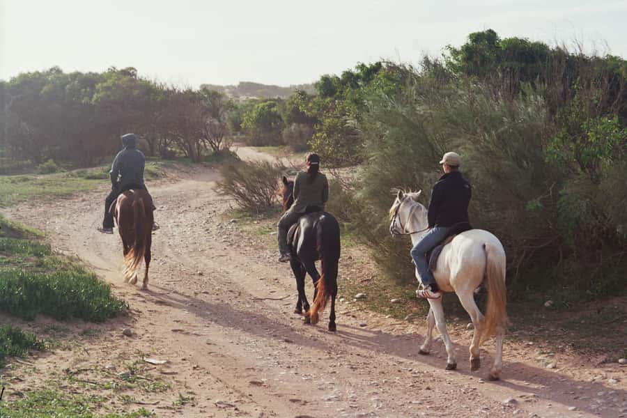 From Essaouira: 1-Hour Horse Ride - Key Things I’d Plan Around