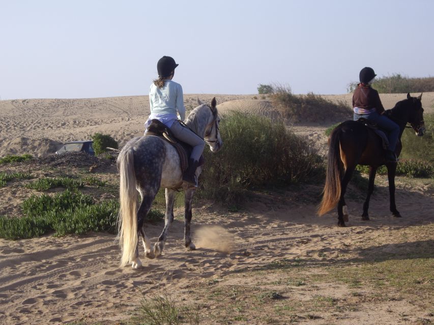 From Essaouira: 1-Hour Horse Ride - What to Wear and Bring for an Atlantic Beach Horse Ride