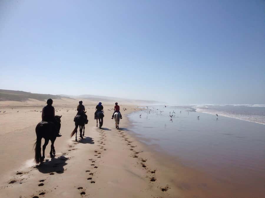 From Essaouira: 1-Hour Horse Ride with sunset - Key highlights you should care about