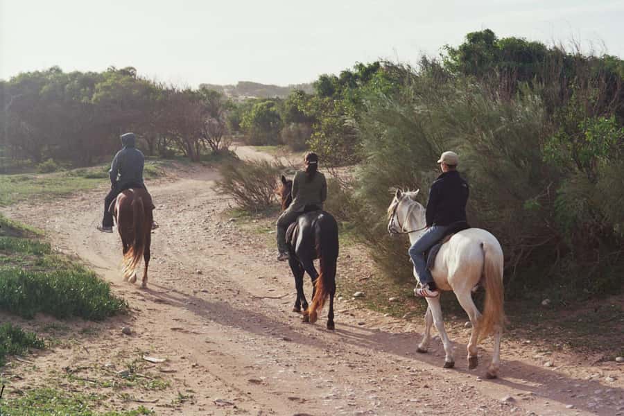 From Essaouira: 1-Hour Horse Ride with sunset - Who should book this, and who should skip it