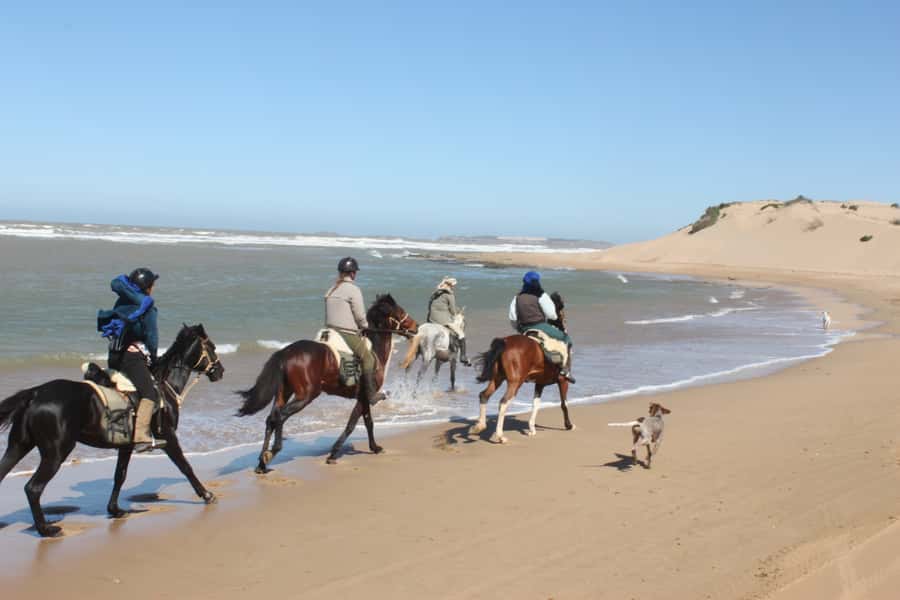 From Essaouira: 1-Hour Horse Ride - Meeting at Petite Porte de Bab Marrakech, Then Getting Ride-Ready at Ranch De Diabat