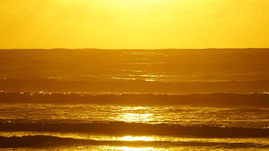 From Essaouira: 2h Horseback Ride with Sunset - The Ride Itself: Beach Time, Dunes, and the Ocean View