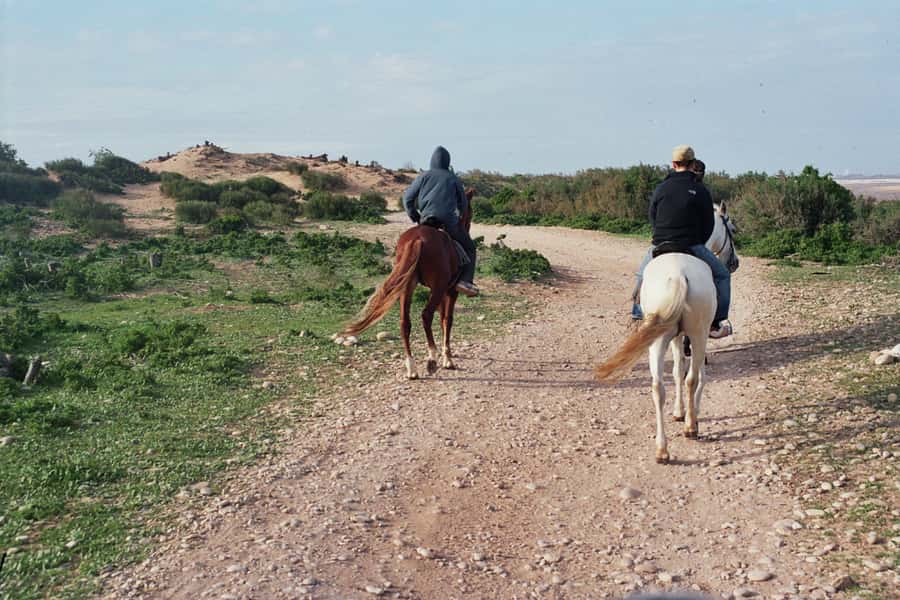 From Essaouira: 2h Horseback Ride with Sunset - Price and Value: What You Pay for in a 2-Hour Ride