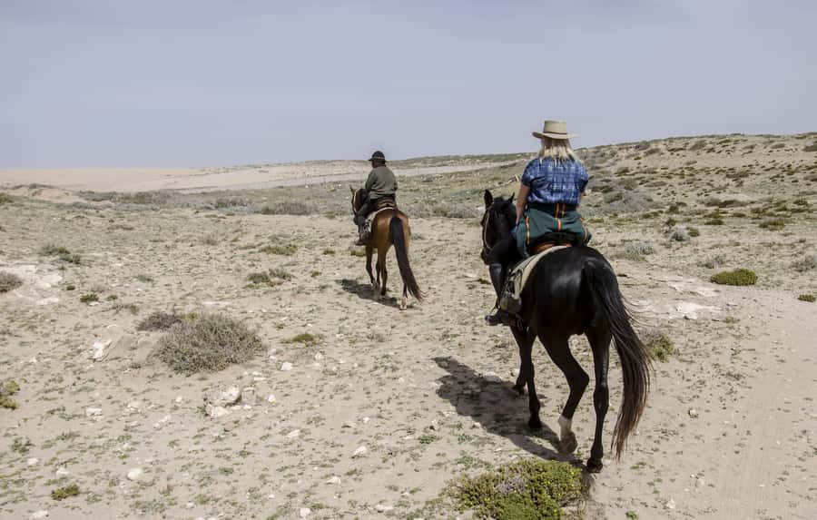 From Essaouira: Scenic Diabat Horseback Ride with Transfer - Key things you will notice on this Diabat horseback ride