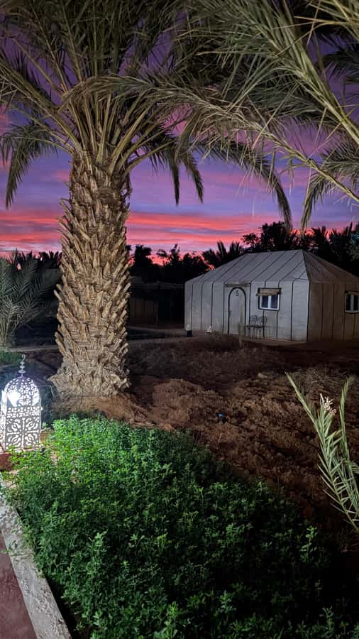 From Fes: 2-Day Desert Tour with Return to Fes or Marrakech - Leaving Fes early: what that 7:45 AM start gets you
