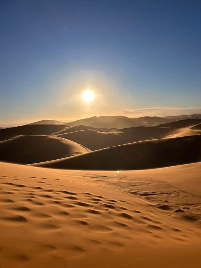 From Fes: 2-Day Desert Tour with Return to Fes or Marrakech - Ifrane and Azrou cedar forest: the quick stops that feel surprisingly real