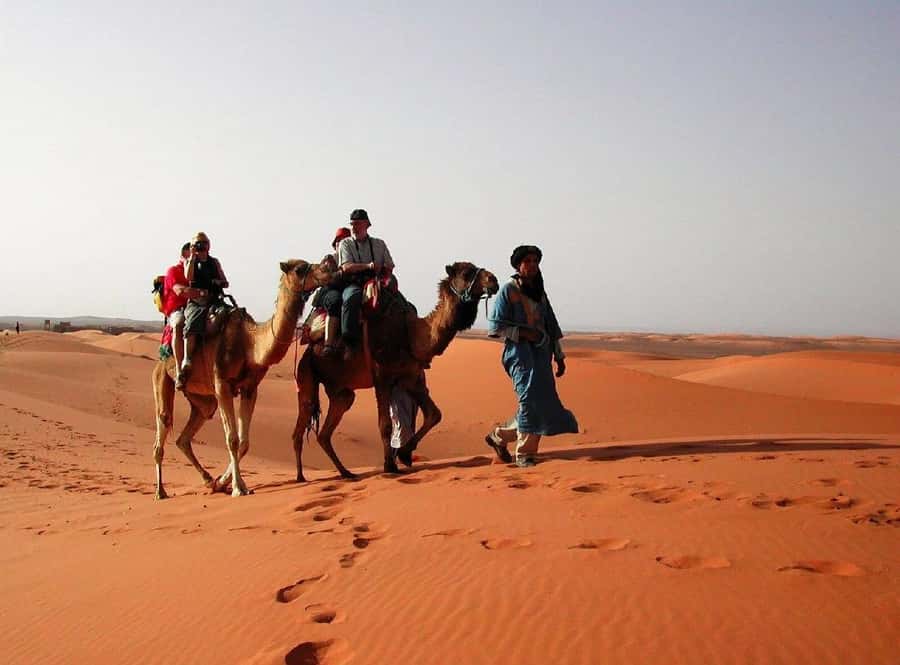From Fes: 2-Day Luxury Desert Tour to Marrakech & Back Fez - Key points before you go