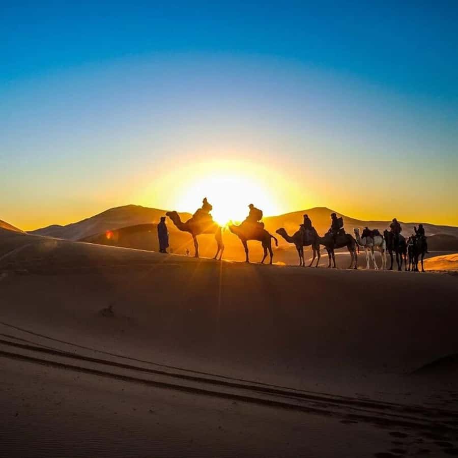 From Fes: 2-Day Luxury Desert Tour to Marrakech & Back Fez - The big idea: luxury dunes, without the long-distance hassle